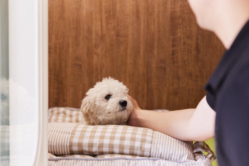 디오네 훈련 공간