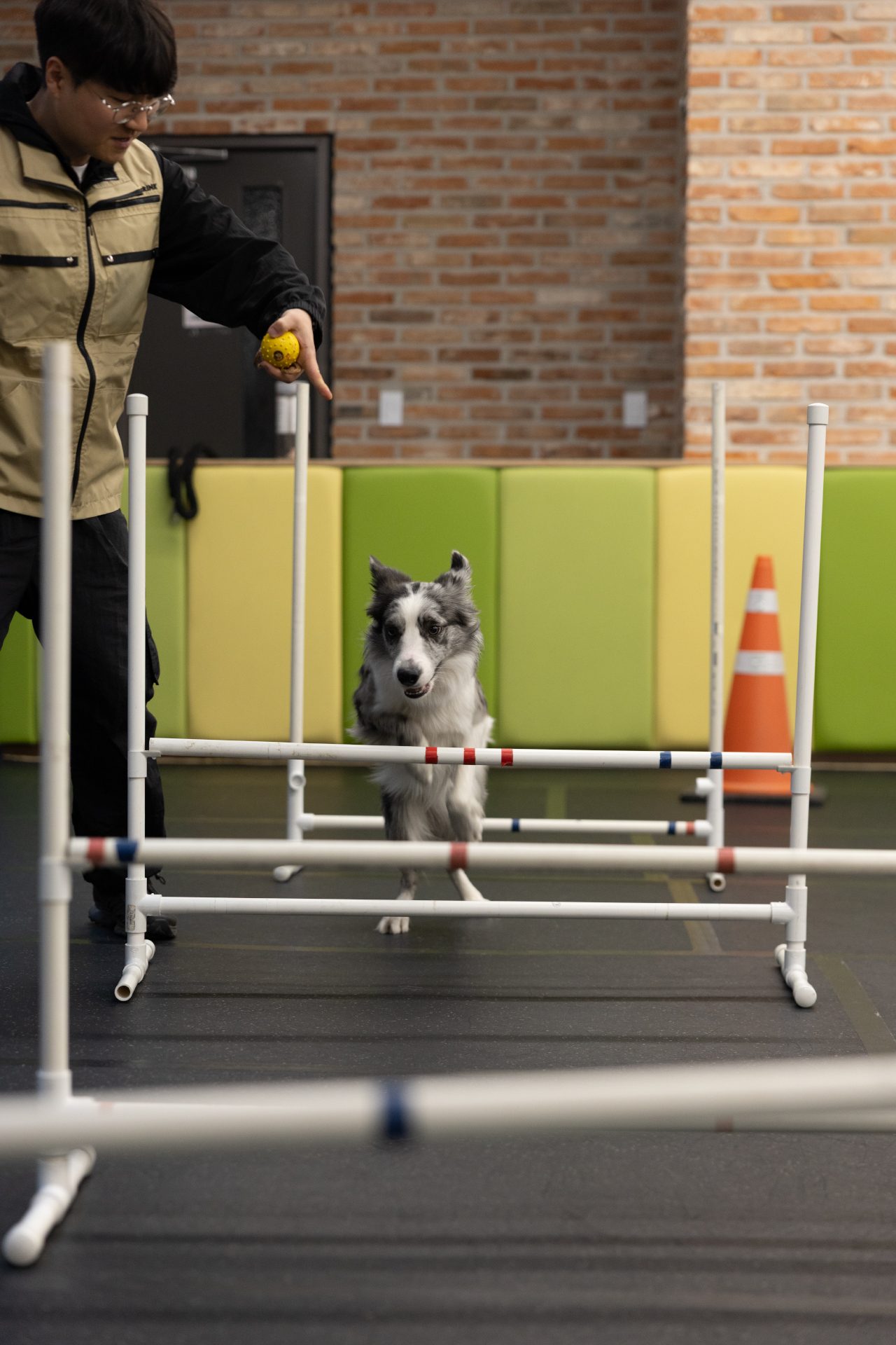 디오네 트레이닝